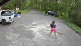 Bear chases dog down Maple Grove driveway