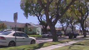 Suspected serial burglar arrested