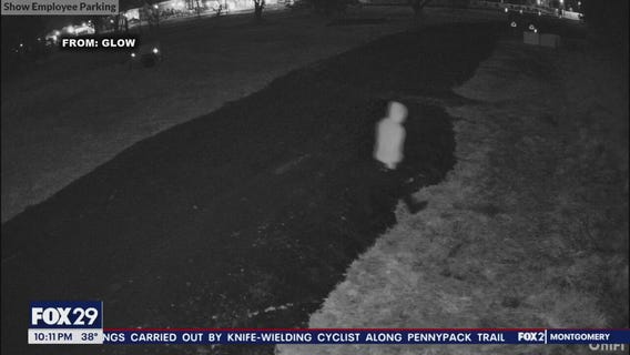 Surveillance video shows suspect vandalizing GLOW! Light Show in New Jersey