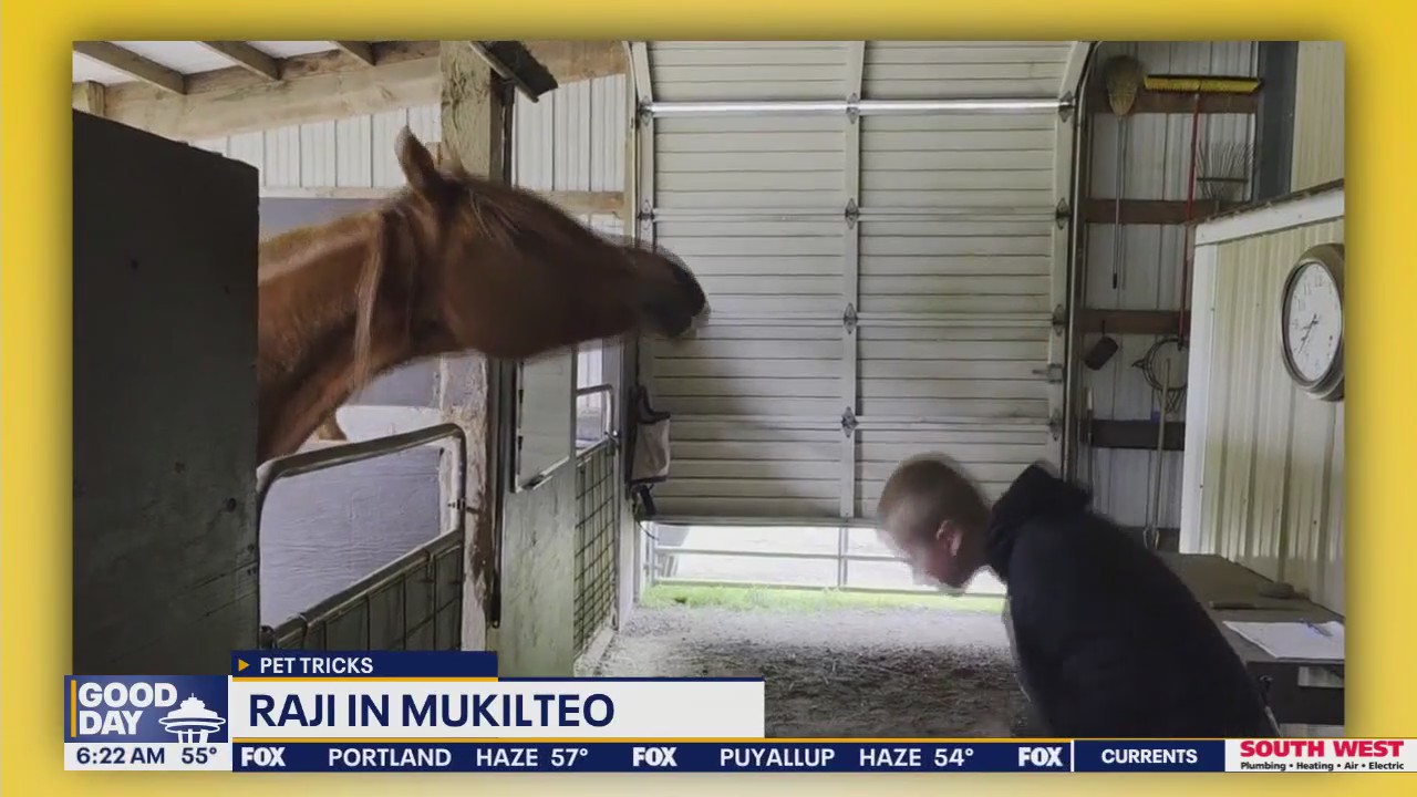 Pet Tricks for Thursday, May 29