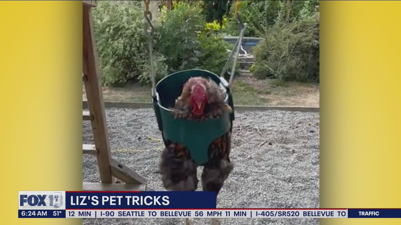 Liz's Pet Tricks for Monday, October 10