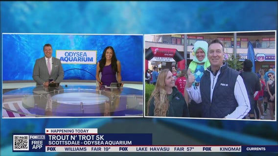 Runners fundraise for the OdySea Aquarium Foundation