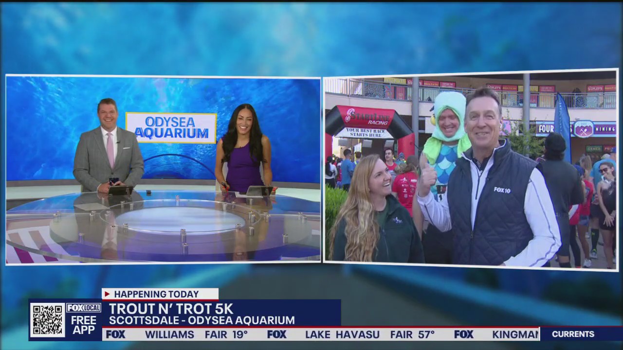 Runners fundraise for the OdySea Aquarium Foundation