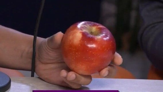UMN researchers roll out new apple & grape varieties, including Supersnap—the Honeycrisp successor