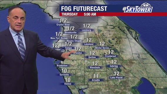 Tampa weather | Foggy and mild temperatures