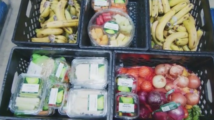 Second Harvest Food Bank's Harvest Solutions Farm