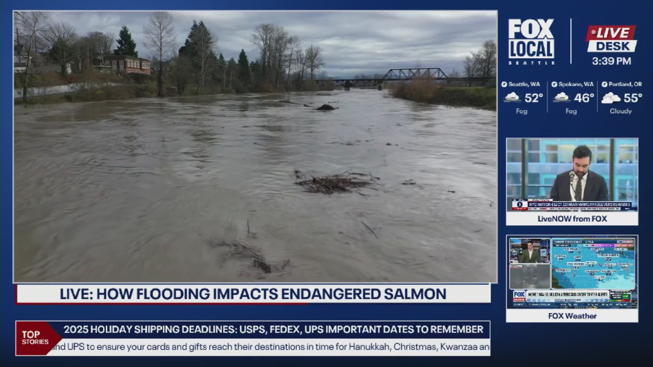 How flooding impacts our endangered salmon population