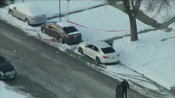 Chicago man with concealed carry shoots teen who broke into his car: police