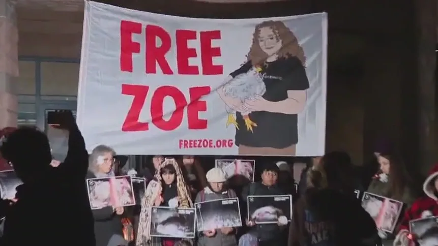 North Bay animal activist begins 90-day jail sentence