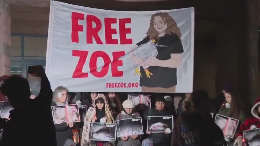 North Bay animal activist begins 90-day jail sentence