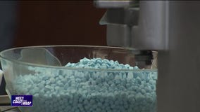 Record-breaking fentanyl bust | West Coast Wrap