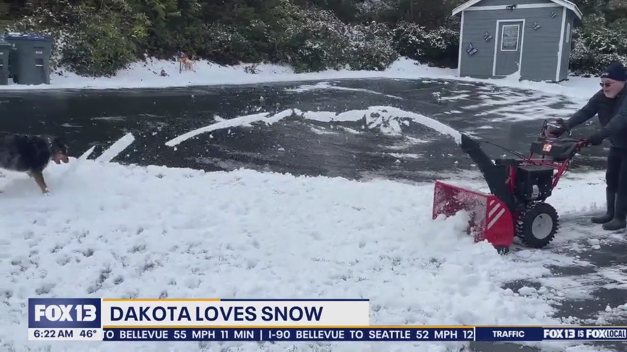 Pet Tricks for Friday, March 28