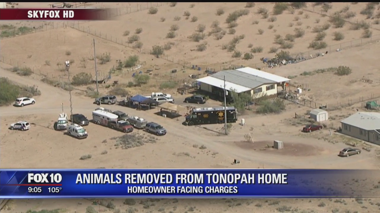 Tonopah woman investigated for animal abuse