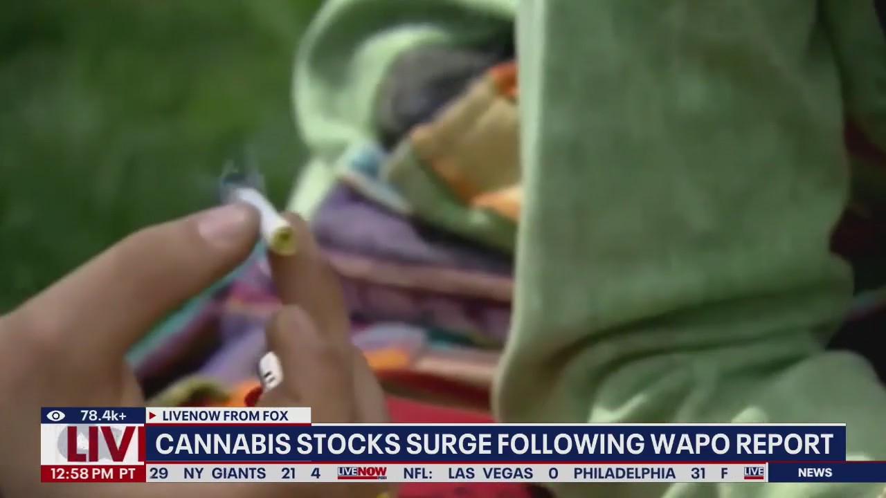 Cannabis stocks rise after WH reclassification news
