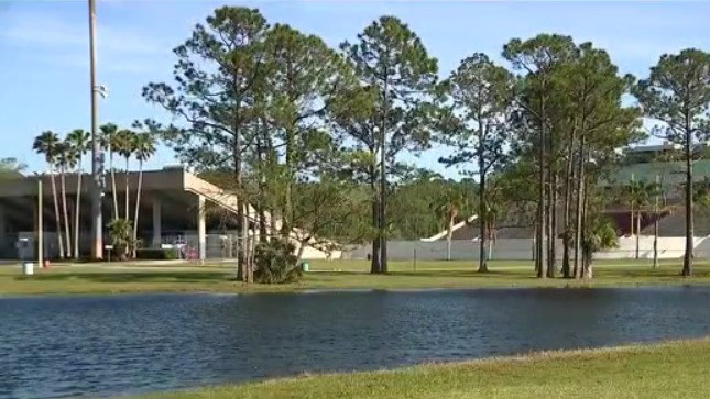 Bats invade stadium in Daytona
