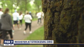 Strides for Stroke Walk headed online