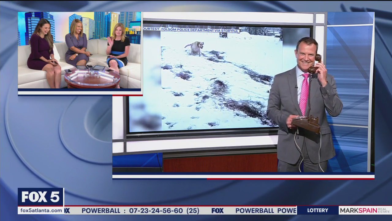 Police dog has playtime in snow