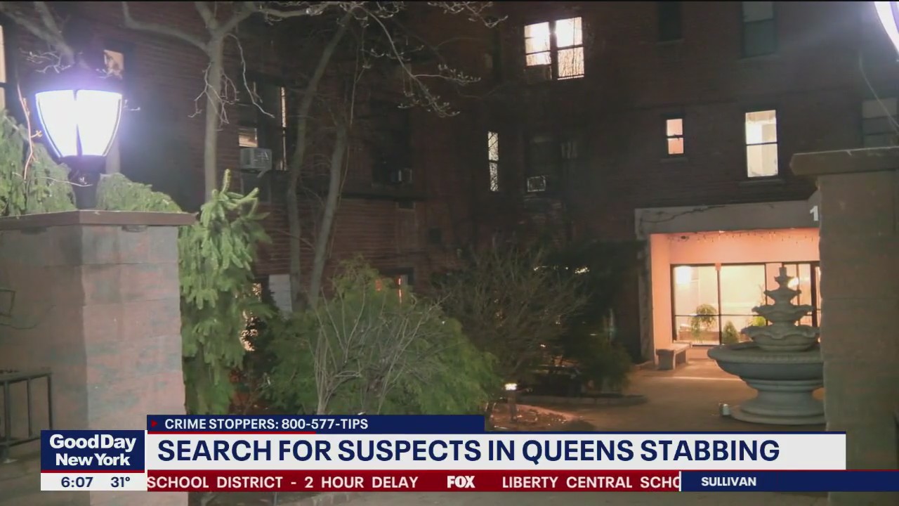 Police look for two men accused of stabbing a woman