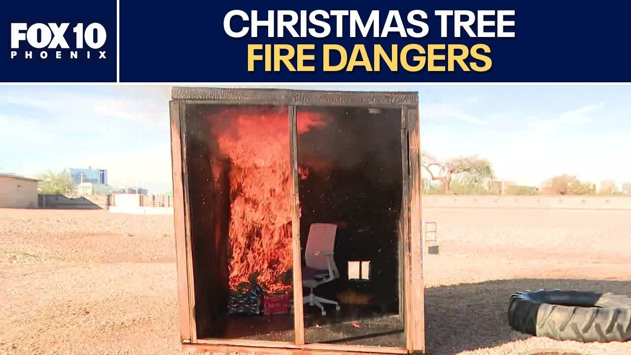 Fire demo shows Christmas tree dangers