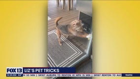 Liz's Pet Tricks for Friday, January 6