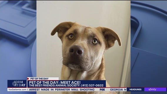 Pet of the Day from Best Friends Animal Society