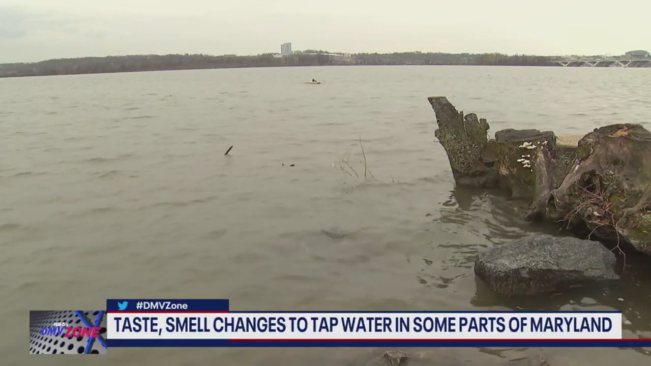 Taste, Smell changes to some folks in MD