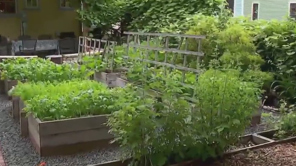 Seward Neighborhood to host garden party