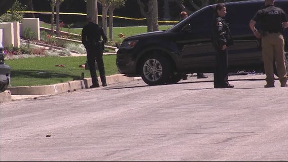 Gardner crashes into vechile then sets himself on fire