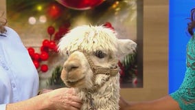 World Vision gifts support impoverished communities