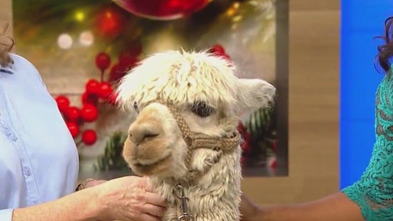 World Vision gifts support impoverished communities