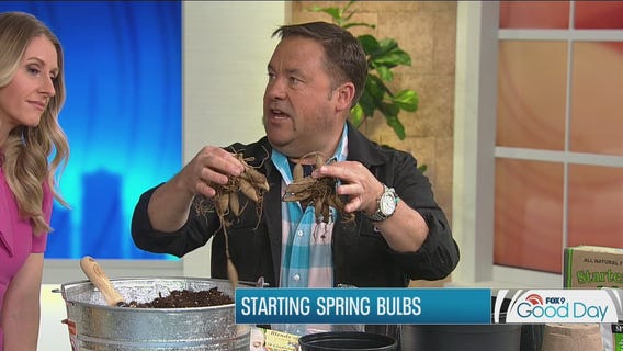 Maximize the growing season by starting your spring blooms today