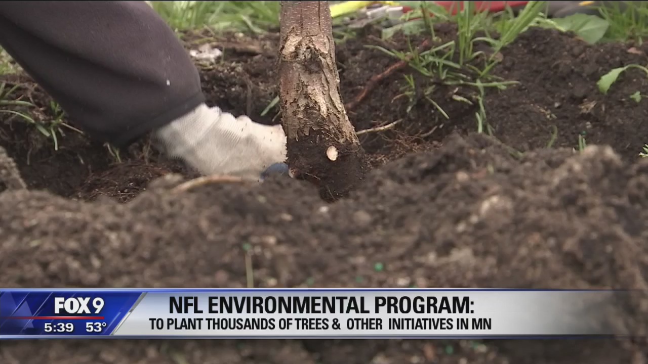 Houston gifts Minneapolis tree for Super Bowl prep