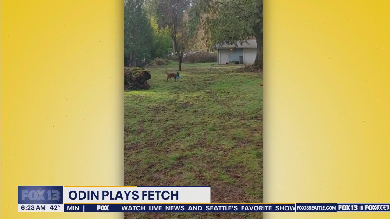 Pet Tricks for Thursday, March 20