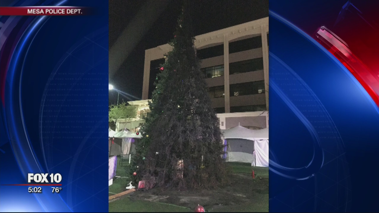 Man accused of setting Mesa Christmas Tree on fire