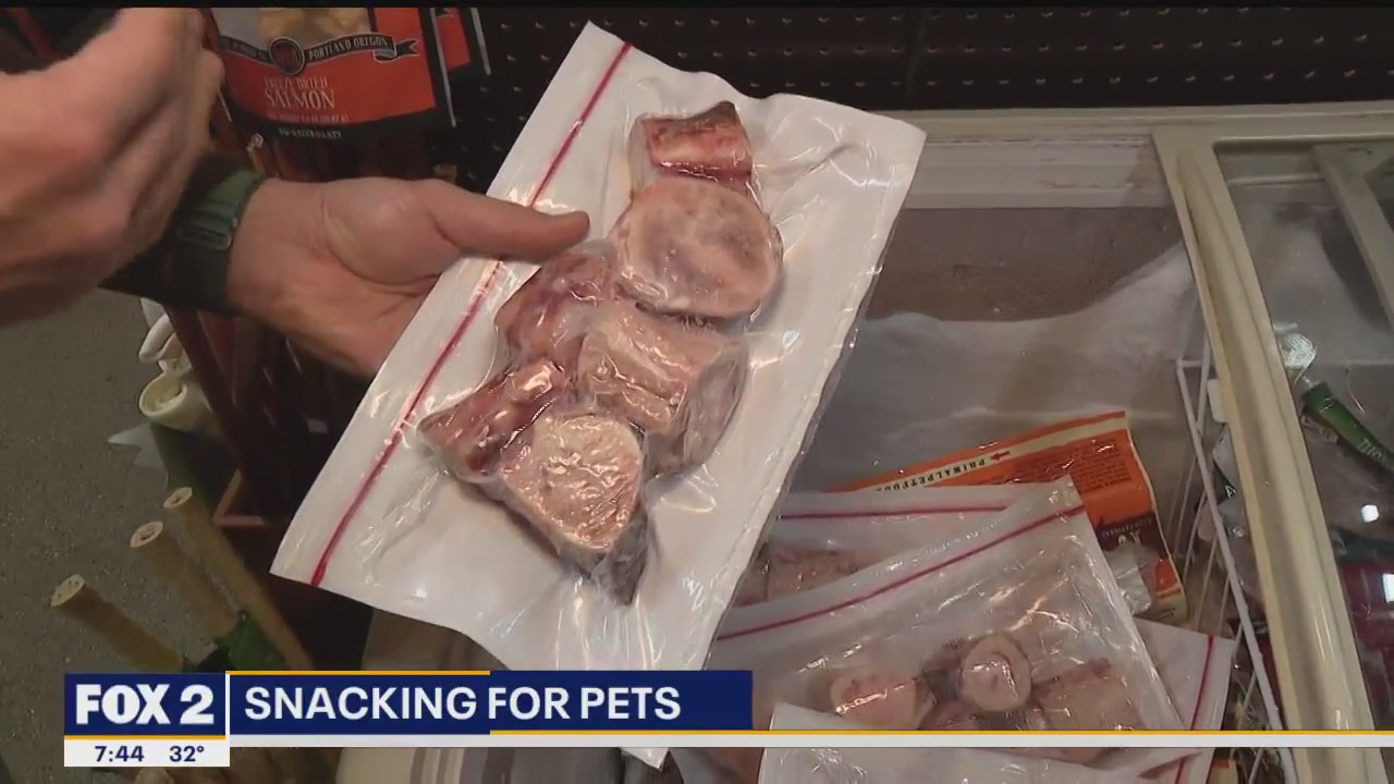 Picking snacks for your pup with Premier Pet Supply