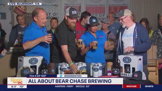All about Bear Chase Brewing!