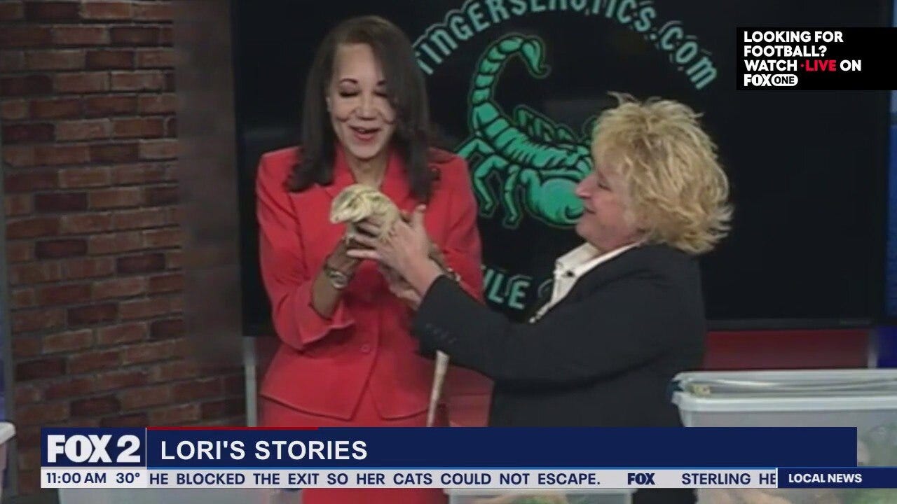 Lori's Stories: The Christmas Lantern