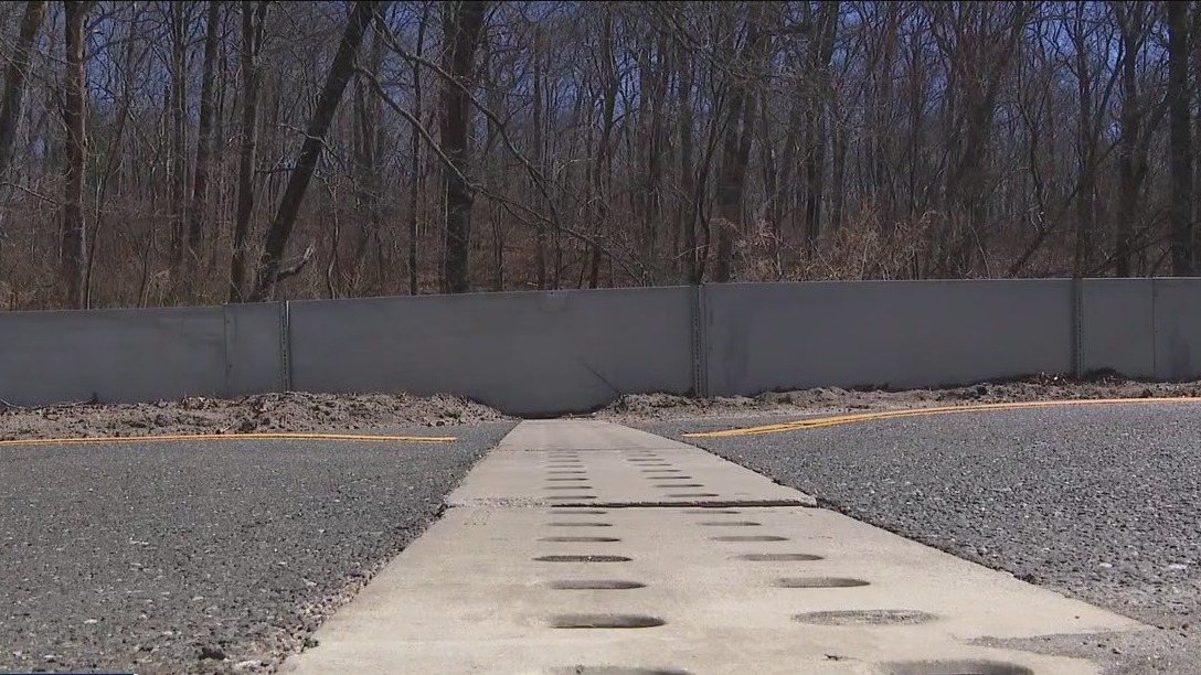 Long Island builds tunnel to save frogs