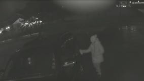 Wisconsin woman charged in string of Christmas crimes