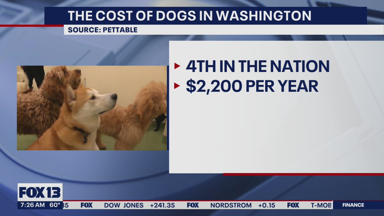 Study: This is how much it costs to own a dog in Washington state