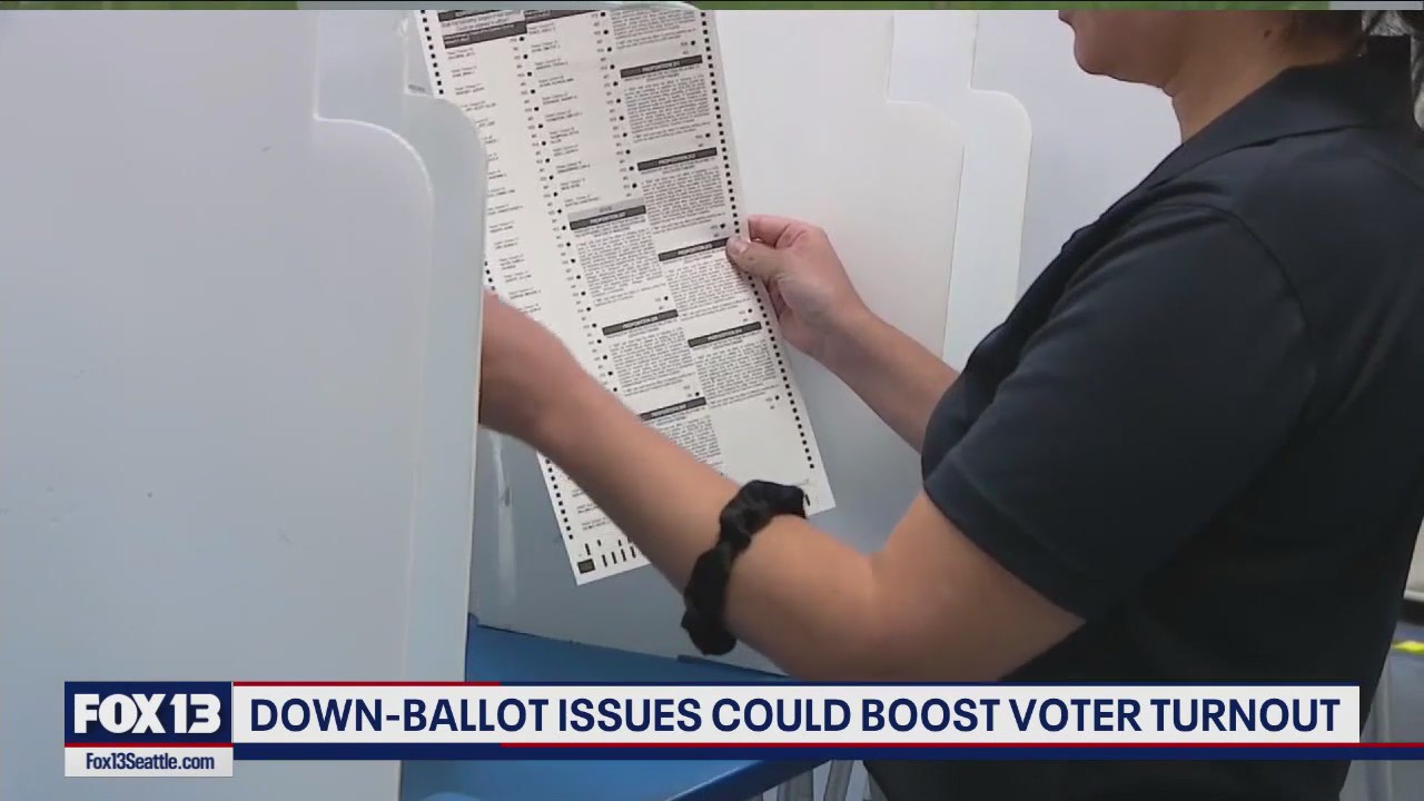 Down-ballot issues could boost voter turnout