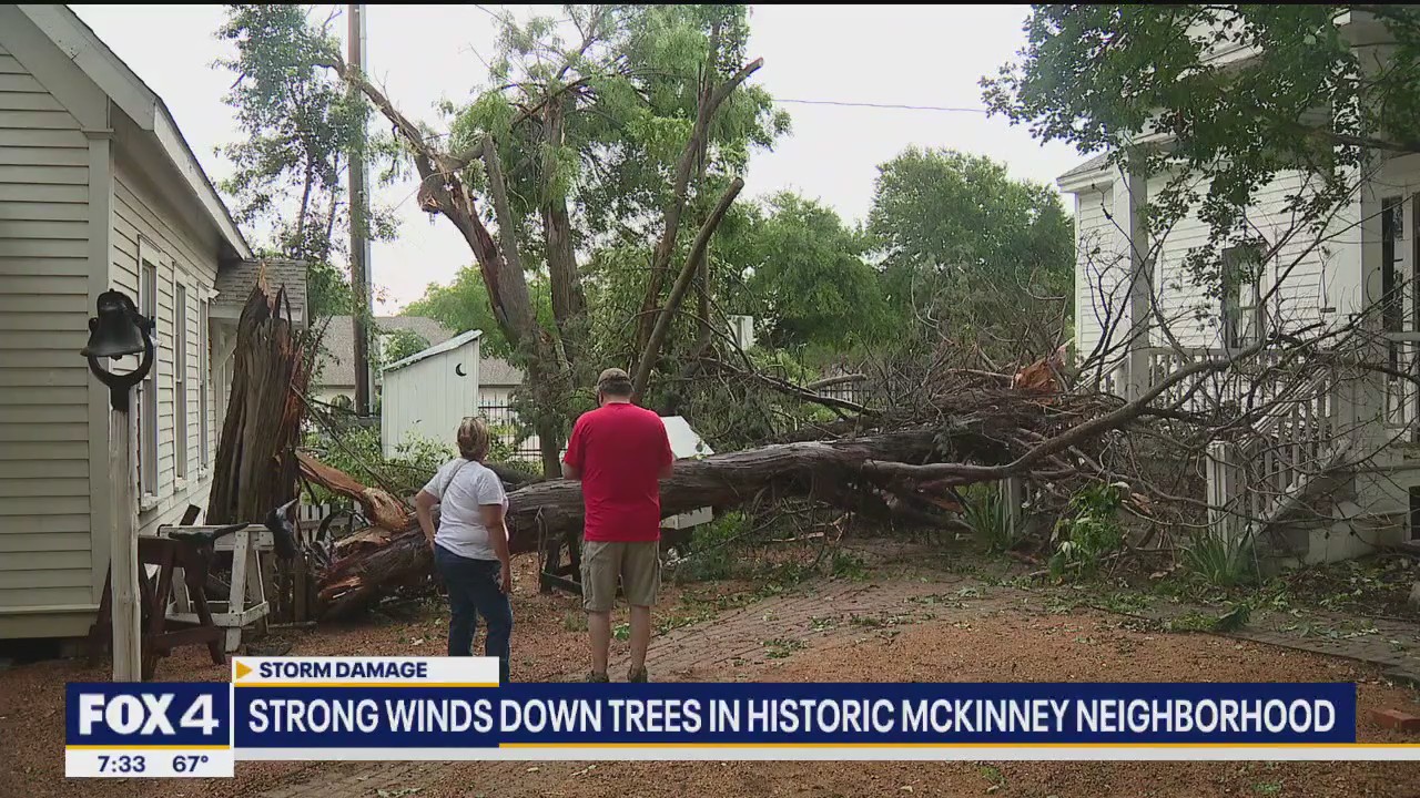Strong winds rip down trees in McKinney neighborhood