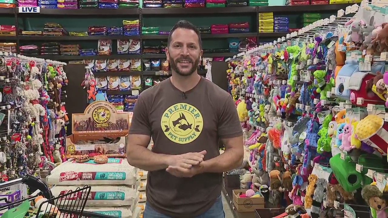 The different ways we can celebrate our best friend on National Hug Your Hound Day