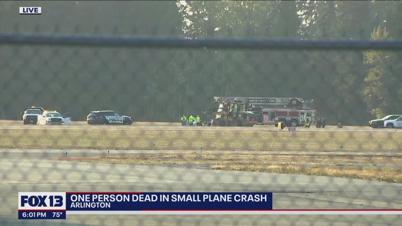 Pilot killed in small plane crash