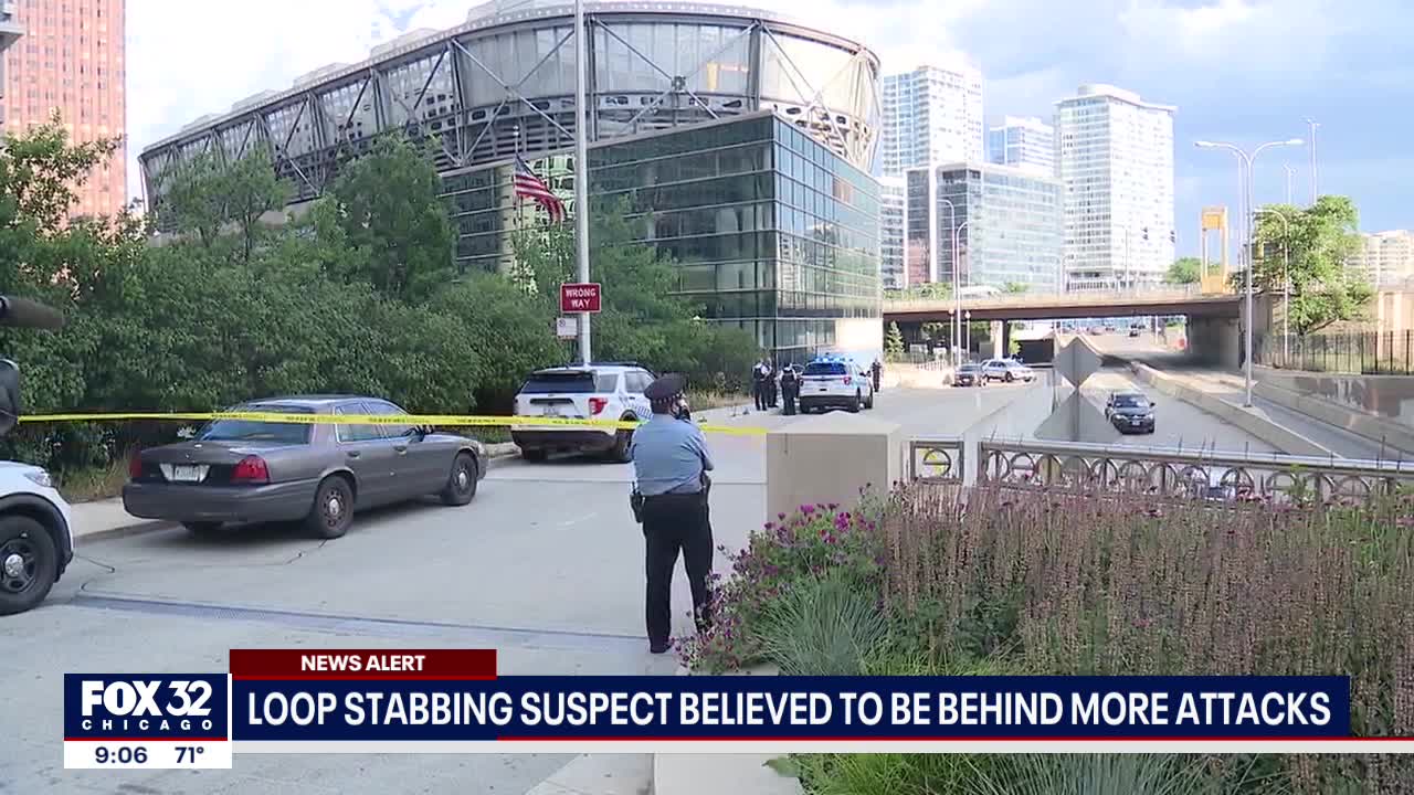 Chicago police arrest person of interest in fatal stabbing of Maryland grad student