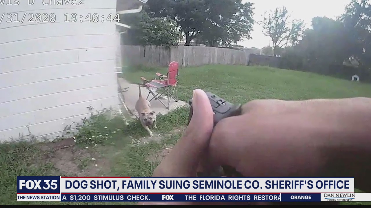 Family suing after deputy shoots pet dog