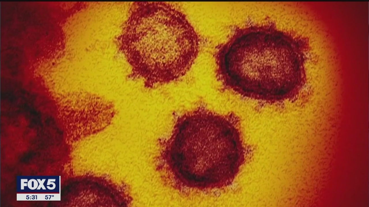 Disease detectives aiming to prevent spread of coronavirus