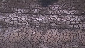 EBMUD offering incentives for customers who reduce water use outdoors