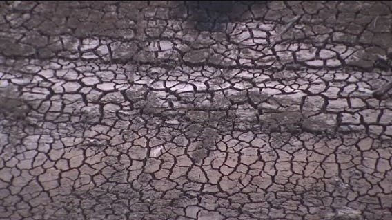 EBMUD offering incentives for customers who reduce water use outdoors