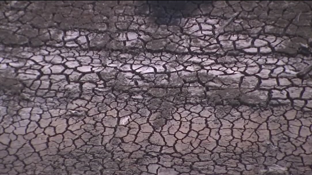 EBMUD offering incentives for customers who reduce water use outdoors